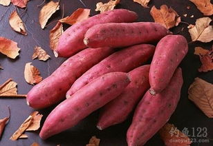 红薯制作钓鱼饵料的详细方法,从零开始的DIY指南