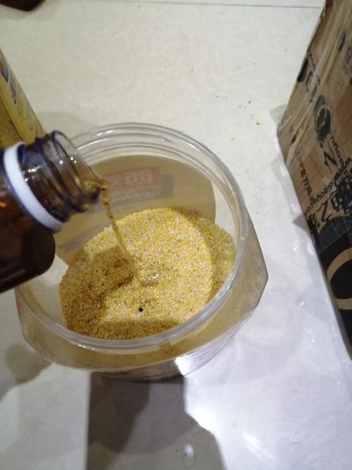 自制钓鱼饵料收纳盒，简单步骤，实用又省心！