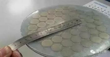 自制钓鱼饵料拉盘支架，省钱又实用的DIY教程