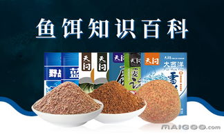 铅头钩钓鱼饵料选择全攻略