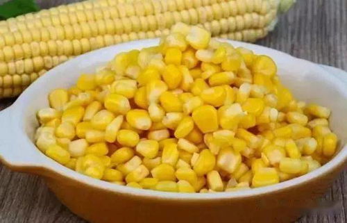 玉米制钓鱼饵料的秘诀,如何让饵料更诱鱼