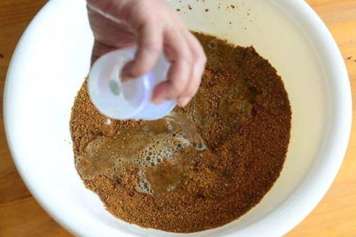 猪肝制作钓鱼饵料的详细教程,从准备到使用