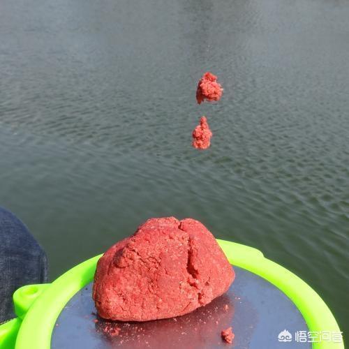 钓小鱼饵料选择指南,如何精准匹配鱼情与鱼饵