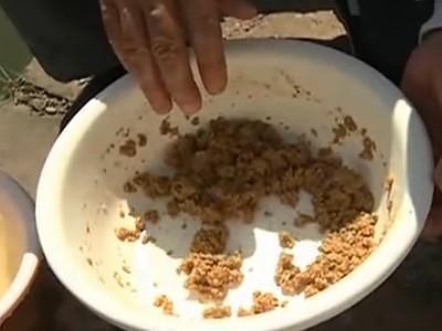 自制钓鱼饵料秘方大全，大师级配方与实战技巧
