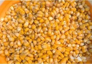 懒人万能钓鱼饵料的使用秘籍