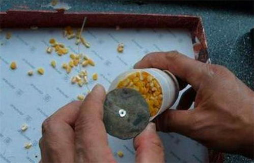 钓鱼饵料打窝球的使用方法