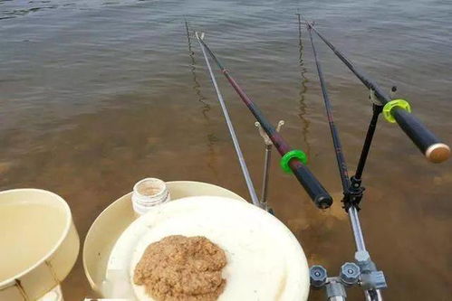 钓鱼饵料粘在钩子上怎么办，实用解决方案大全