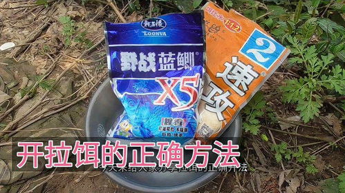 龙吐珠钓鱼饵料使用方法详解，从入门到精通