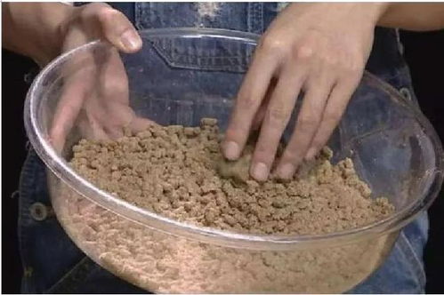 钓鱼饵料添加益生菌,提升钓鱼效果的秘密武器