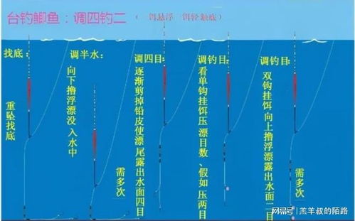 钓鱼饵料八一九使用全攻略,从配比到实战技巧