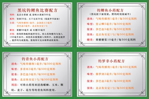 钓鱼饵料费用明细怎么查，全面指南与实用技巧