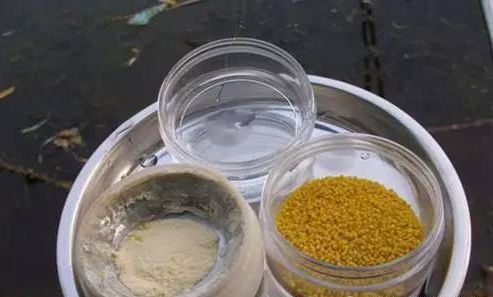 钓鱼饵料刻度杯的使用方法详解