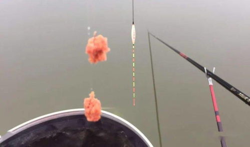 弹簧杆钓鱼饵料制作全攻略，从零开始打造你的专属诱饵