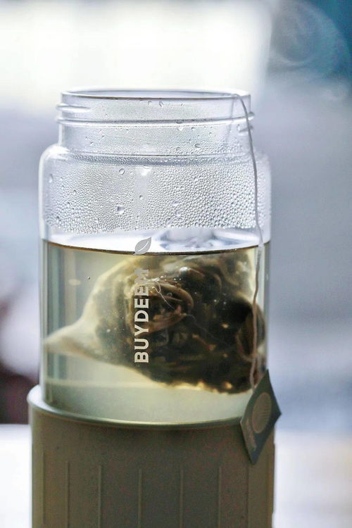 黑娃钓鱼饵料怎么样？全面评测与使用心得