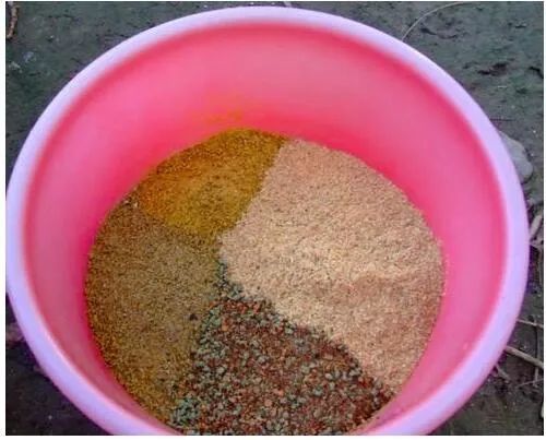 过江鱼钓鱼饵料怎么样，从入门到精通的全面指南