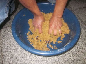 自制蕃薯钓鱼饵料秘方,淡水/海水通用版,实战必杀技!