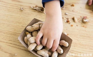 花生壳变废为宝，自制钓鱼饵料的详细教程