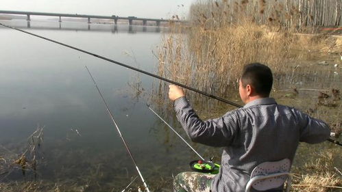 掌握无铅双钩分叉饵料技巧，提升你的钓鱼成功率