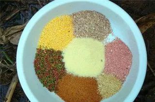 钓鱼饵料莲子怎么做的，一份简单易学的自制指南