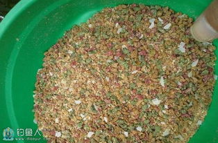 野外鲤鱼饵料配方，从基础到进阶的实战指南