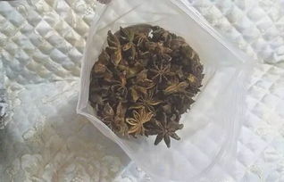 钓鱼饵料鞭炮自制秘籍，手把手教你制作专属诱饵