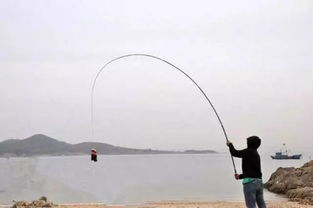 新手怎么选竿钓鱼饵料呢？