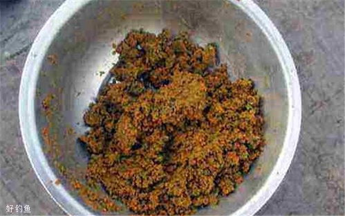 香豆饵料的完美使用指南，提升钓鱼成功率的秘诀