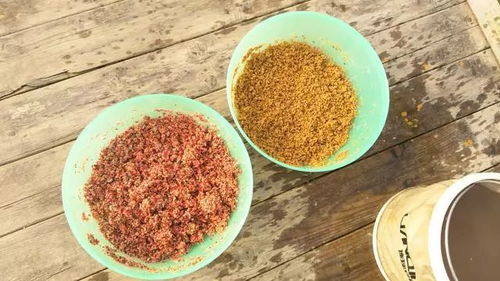 灰面钓鱼饵料怎么配比，从零开始的调制指南