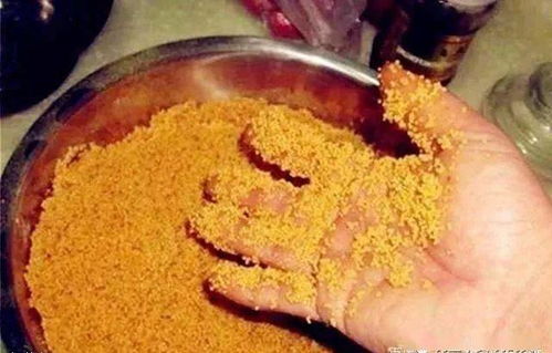 独香钓鱼饵料怎么配好,手把手教你调制无敌诱饵