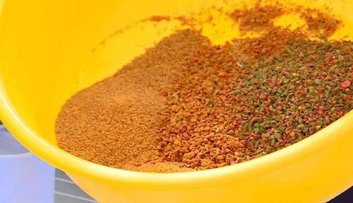 钓鱼饵料花钱不花怎么办？这些方法让你省钱又高效